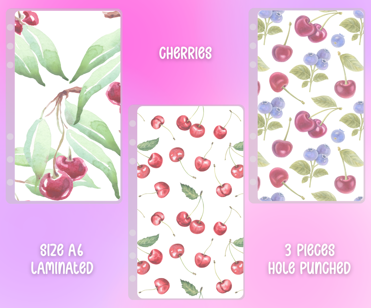 Matte Vellum Cash Envelope Set A6 - 3pcs