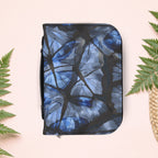 Blue Morpho Butterfly Book Cover