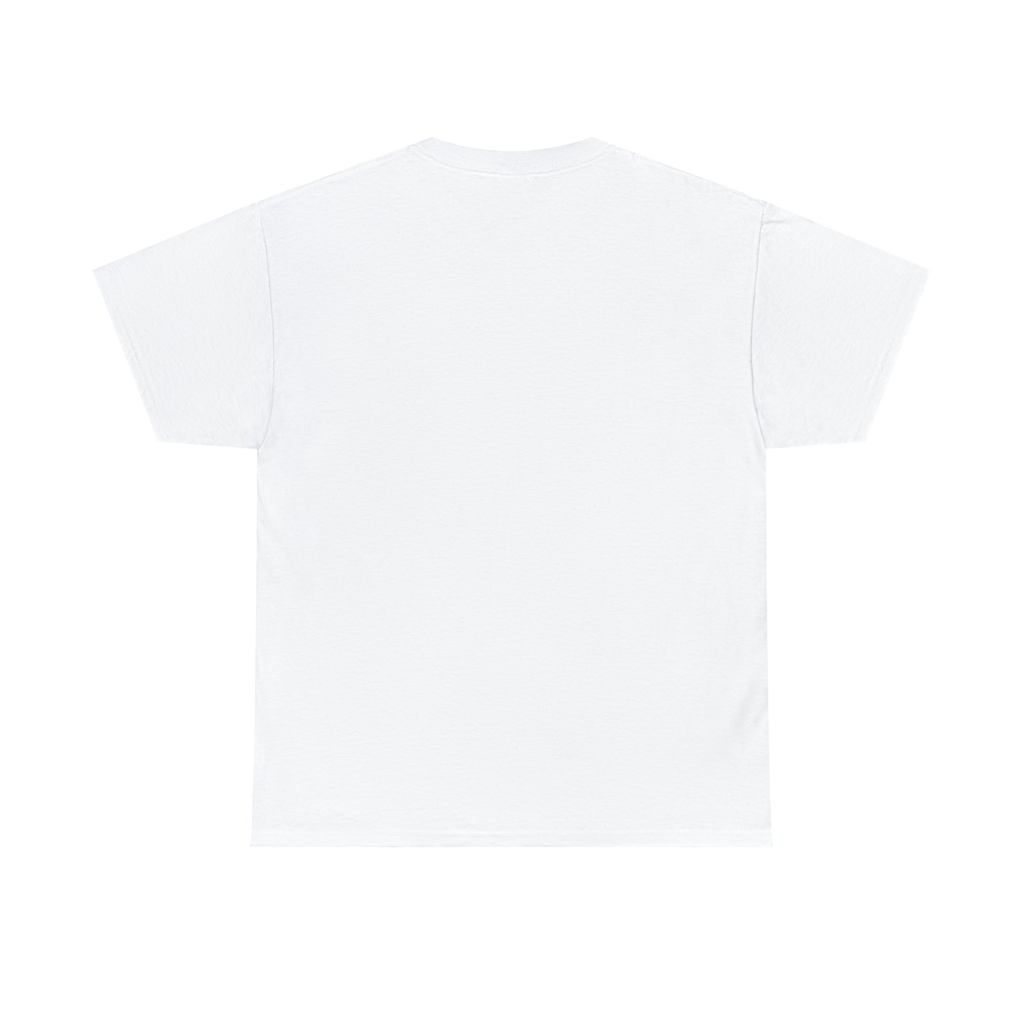 Can't See the Haters Unisex Heavy Cotton Tee