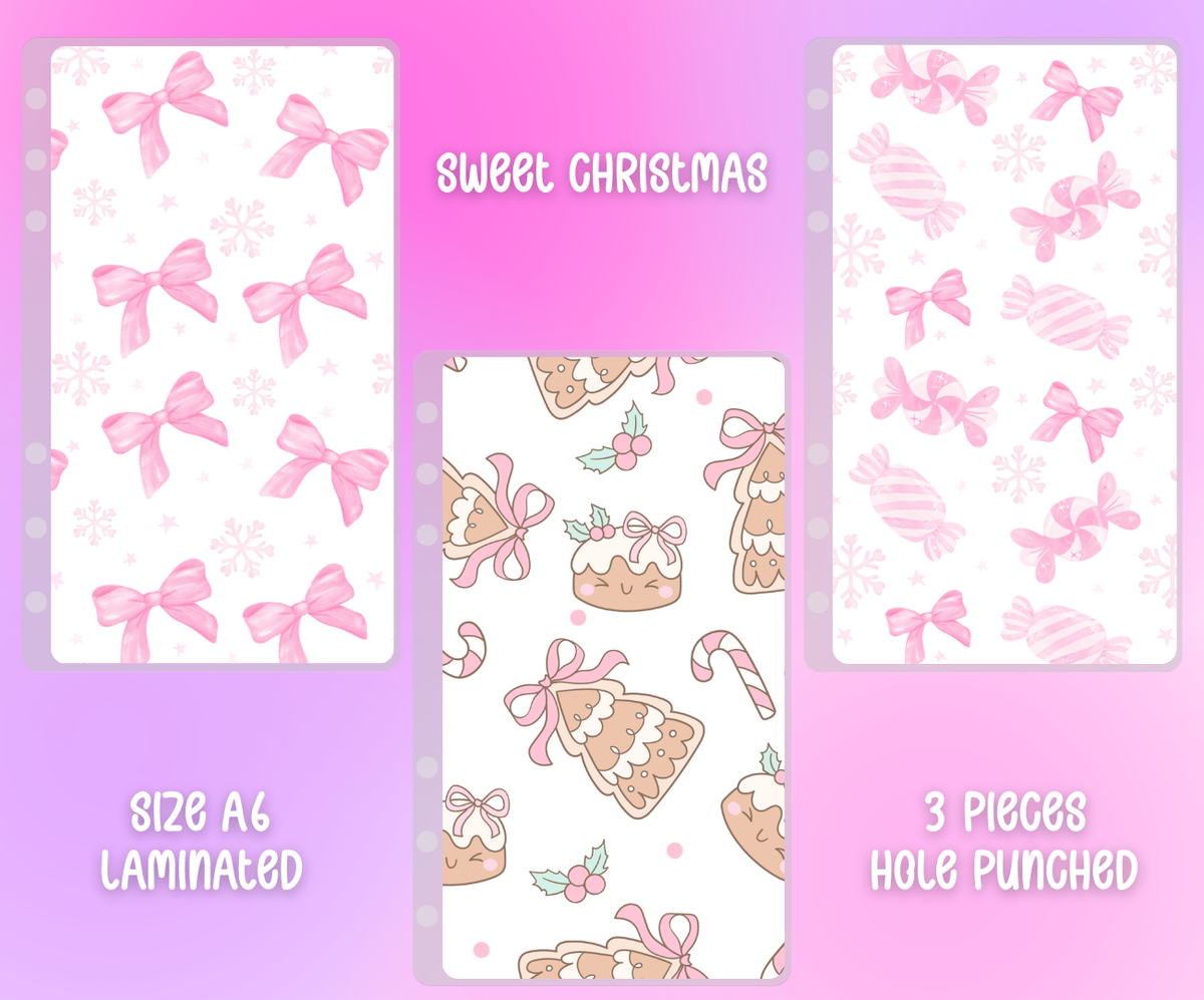 Matte Vellum Cash Envelope Set A6 - 3pcs