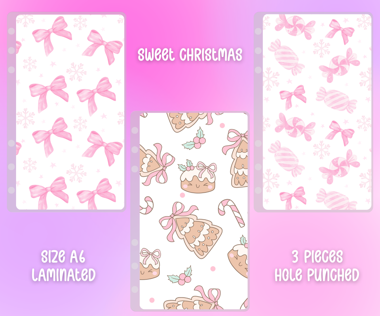 Matte Vellum Cash Envelope Set A6 - 3pcs