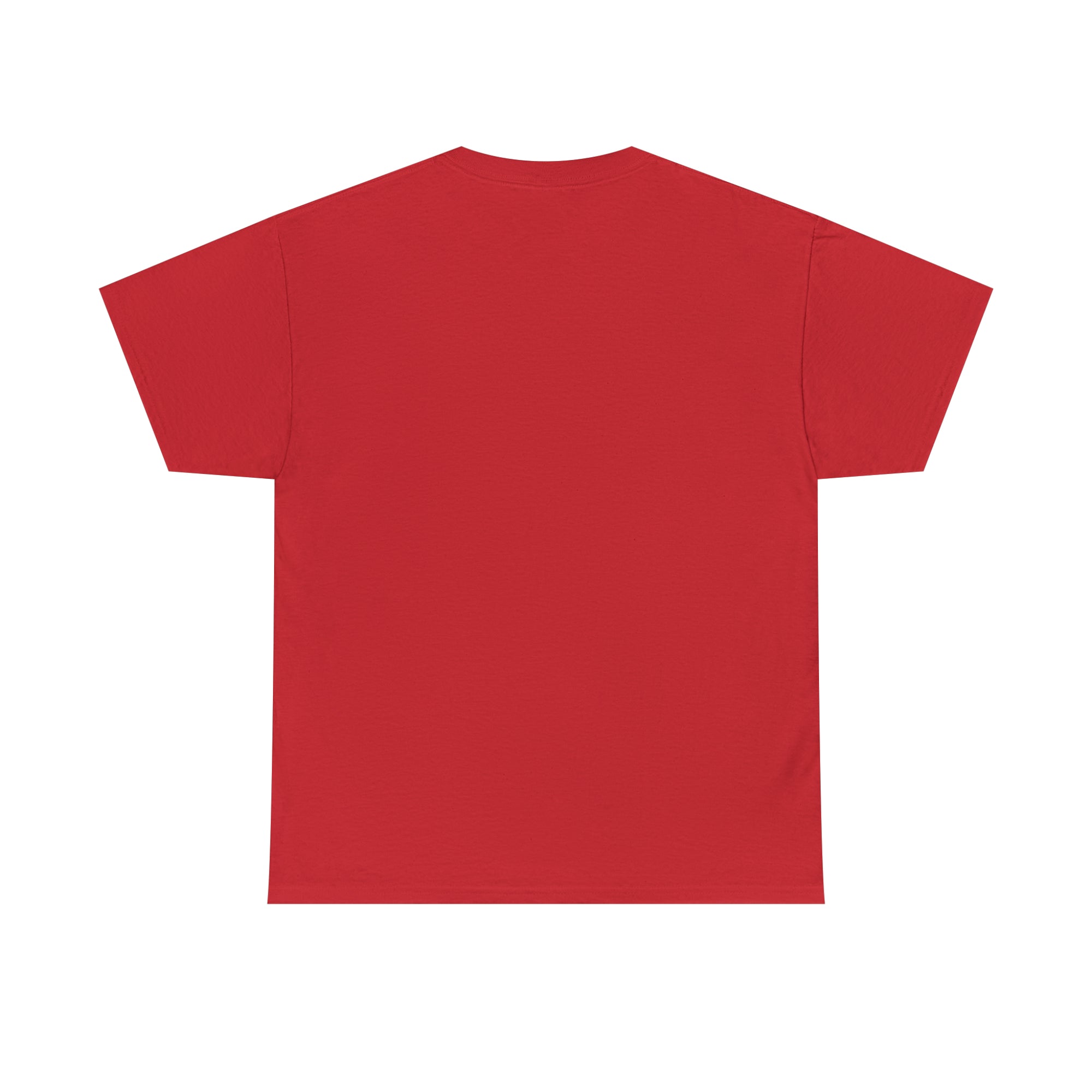 Can't See the Haters Unisex Heavy Cotton Tee