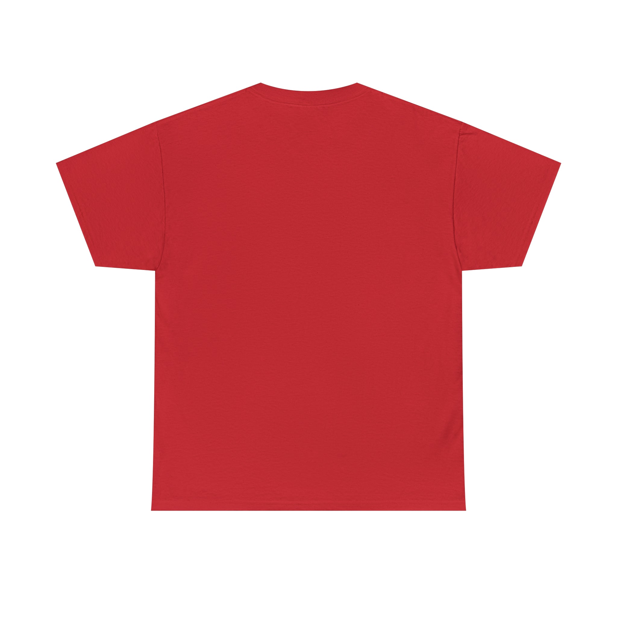 Can't See the Haters Unisex Heavy Cotton Tee