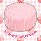 Sachertorte Cake Mini Scented Squishy