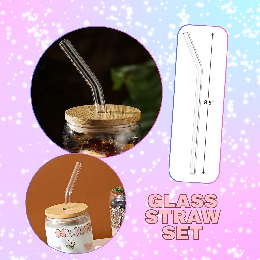 Glass Straw Set