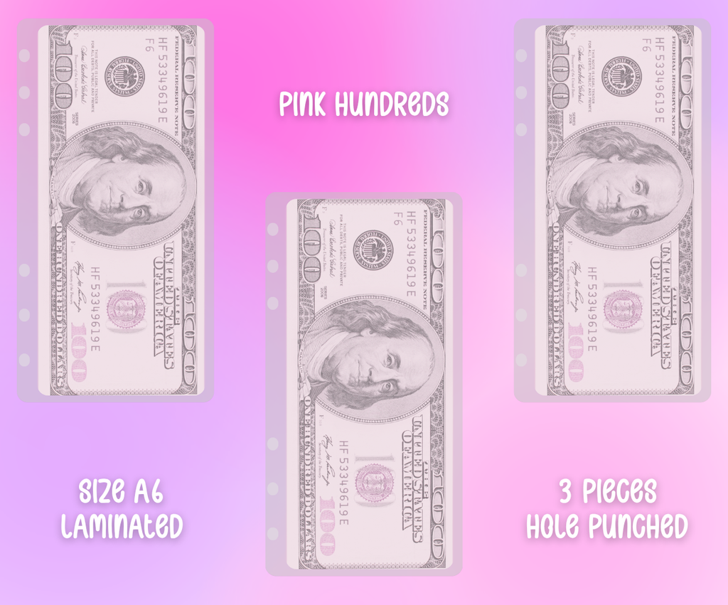 Matte Vellum Cash Envelope Set A6 - 3pcs