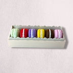 Assorted Macarons Clicker Fidget
