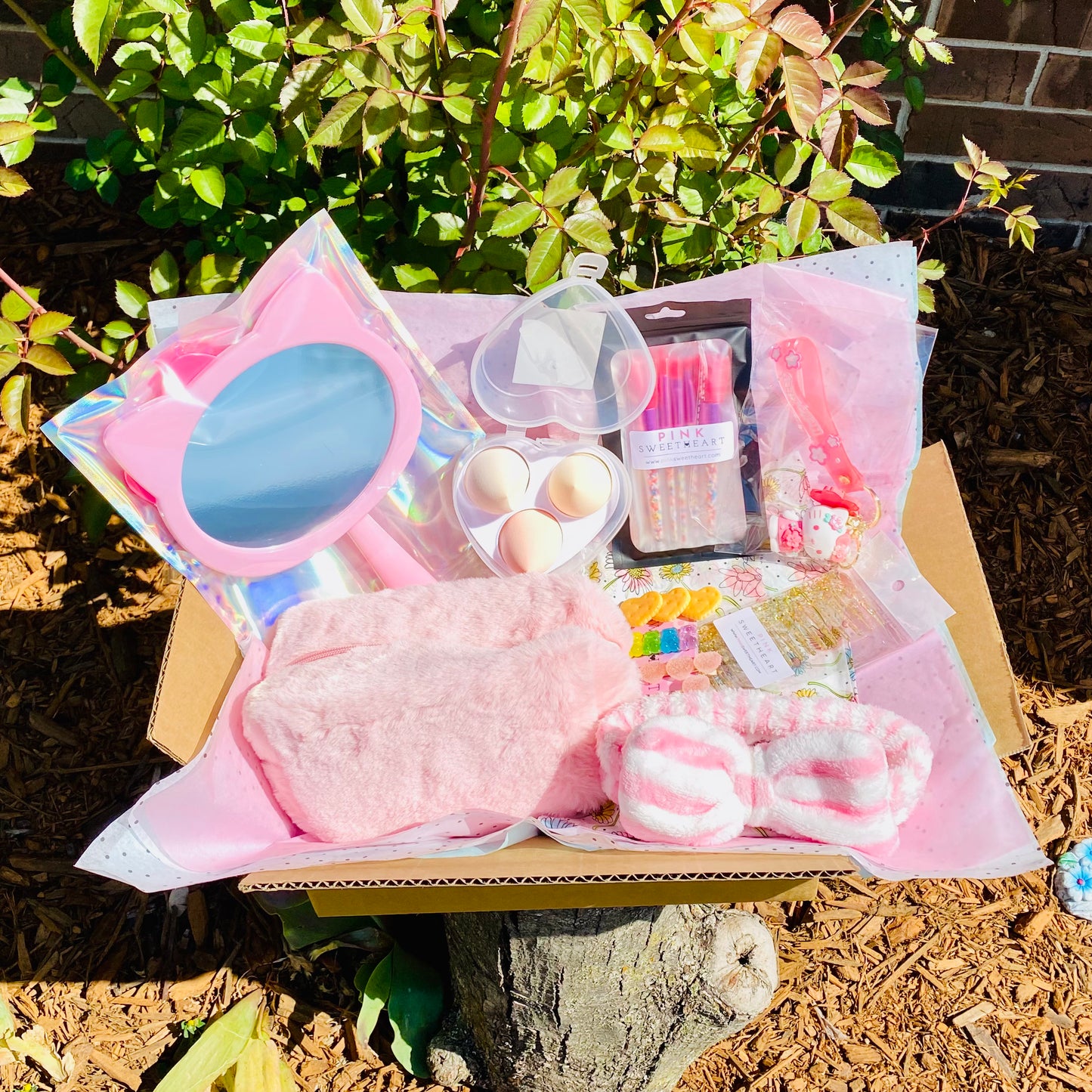 Ultimate Pink Kawaii Kitty Goodie Box
